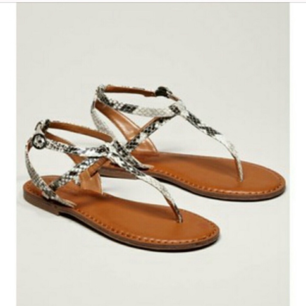 AMERICAN EAGLE SNAKE SKIN PRINT SANDALS sz 7